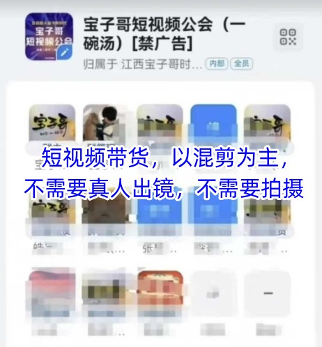 宝子哥头部团队短视频带货，以混剪为主，不需要真人出镜，不需要拍摄【更新】-耐玩网创