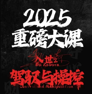 2025重磅大课，入世2，驾驭与控制-耐玩网创