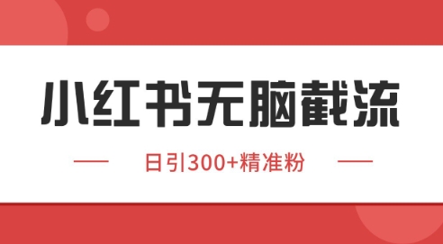 小红书截流同行客源，独家野路子获客玩法 日引200+暴力获客【揭秘】-耐玩网创