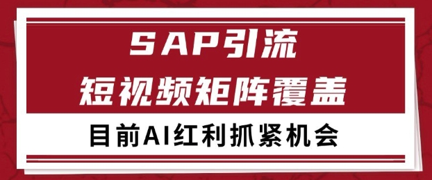 小红书某音sap赛道引流获客 自热矩阵日引200+【揭秘】-耐玩网创