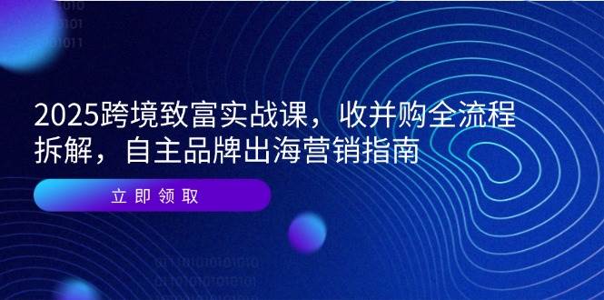 （14975期）2025跨境致富实战课，收并购全流程拆解，自主品牌出海营销指南-耐玩网创