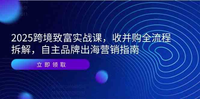 2025跨境致富实战课，收并购全流程拆解，自主品牌出海营销指南-耐玩网创