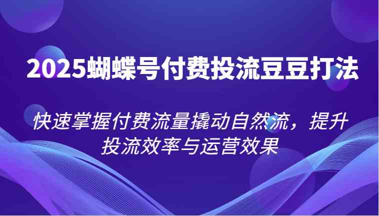 2025蝴蝶号付费投流豆豆打法，快速掌握付费流量撬动自然流，提升投流效率与运营效果-耐玩网创