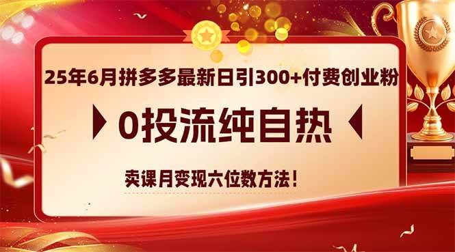 （14989期）25年6月拼多多最新日引300+付费创业粉，0投流纯自热 卖课月变现六位数方法-耐玩网创
