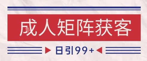 小红书某音橙人赛道引流获客，自热矩阵日引200+【揭秘】-耐玩网创