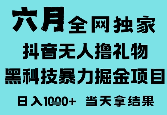 25年6月高爆抖音无人直播最新撸音浪掘金项目，门槛低小白可做，无脑日入1k，可矩阵放大【揭秘】-耐玩网创