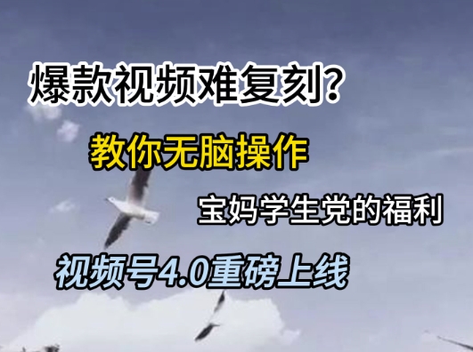 视频号4.0重磅上线，爆款视频难复刻？教你无脑操作宝妈学生党的福利【揭秘】-耐玩网创