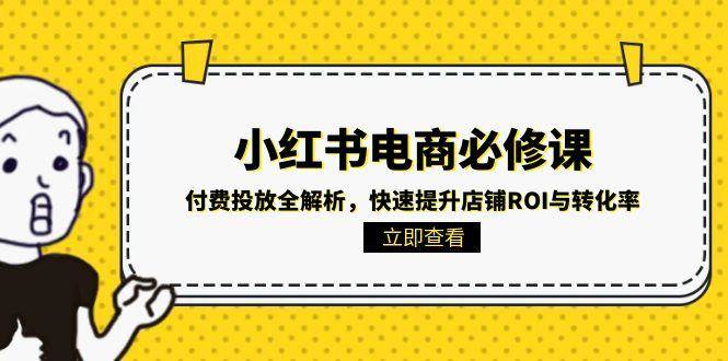 小红书电商必修课：付费投放全解析，快速提升店铺ROI与转化率-耐玩网创