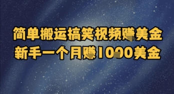 简单搬运搞笑视频挣美金，新手一个月入1k美金-耐玩网创