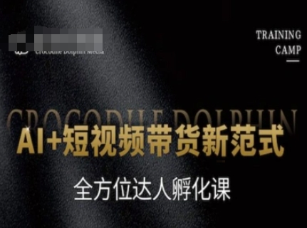 AI+短视频带货新范式，全方位达人孵化课-耐玩网创