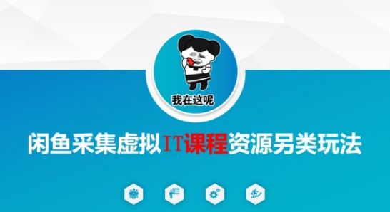 闲鱼采集虚拟IT课程资源另类玩法，干货满满-耐玩网创