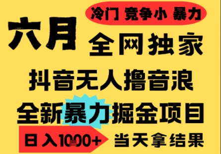 25年6月高爆抖音无人直播最新撸音浪掘金项目，小白可做，无脑日入1k+，门槛低可批量矩阵【揭秘】-耐玩网创
