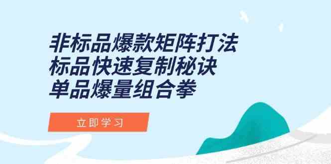 非标品爆款矩阵打法，标品快速复制秘诀，单品爆量组合拳-耐玩网创