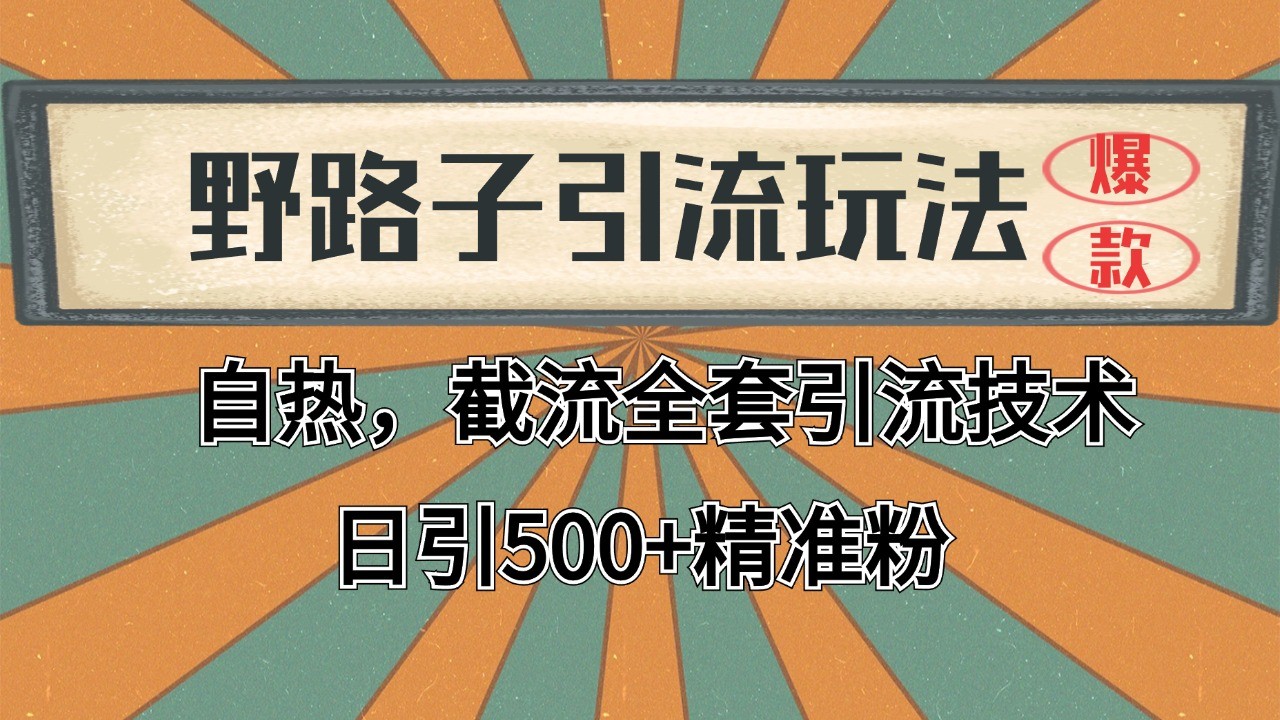 2024首发野路子引流玩法截流自热全平台打法，全自动引流【日引2000+精准客户】-耐玩网创