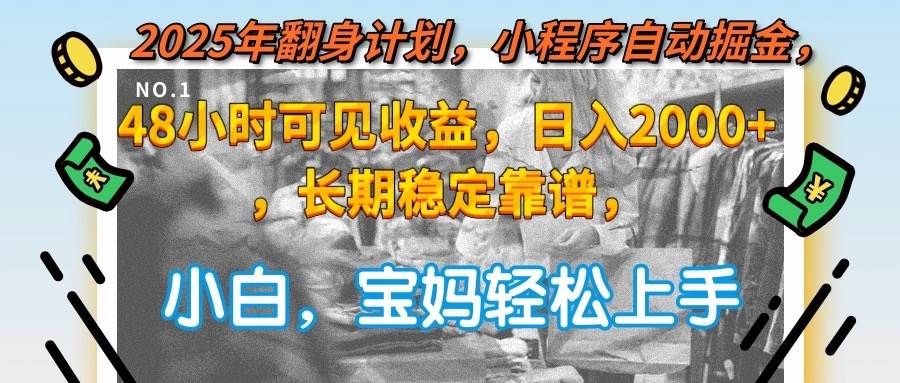 （15082期）2025年翻身计划，小程序自动掘金48小时可见收益，日入2000+，长期稳定…-耐玩网创