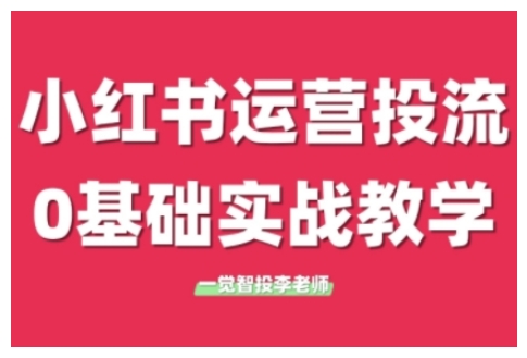 小红书运营投流，小红书广告投放从0到1的实战课，学完即可开始投放（更新）-耐玩网创