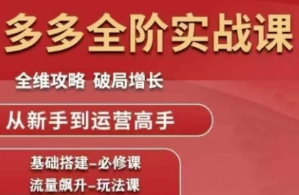 拼多多全阶实战课程，全维攻略，破局增长，从新手到运营高手-耐玩网创