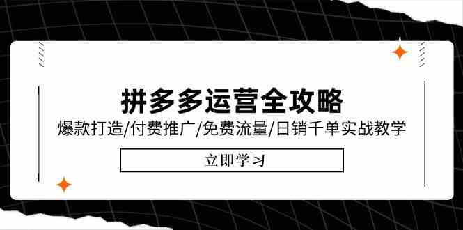 拼多多运营全攻略，爆款打造/付费推广/免费流量/日销千单实战教学/6月更新-耐玩网创
