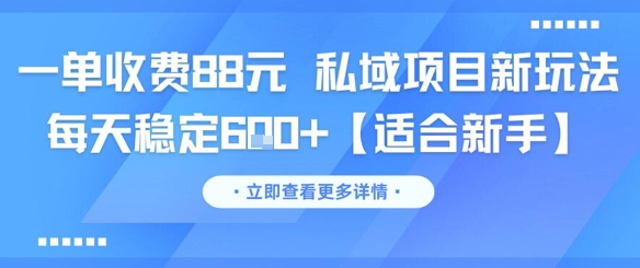 一单收费88元 私域项目新玩法 每天稳定6张+【适合新手】-耐玩网创