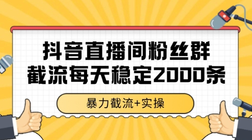 抖音直播间粉丝群暴力截流，一台电脑每天稳定2000条数据【揭秘】-耐玩网创