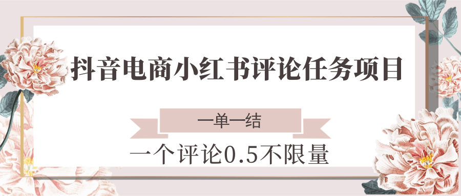 抖音电商小红书评论任务项目，一个评论0.5，一单一结 不限量-耐玩网创