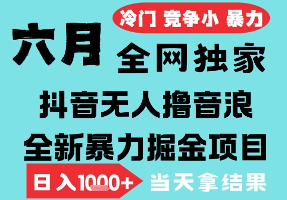 2025年6月高爆抖音无人直播最新撸音浪掘金项目，无脑日入1k+，低门槛小白可做，可矩阵放大【揭秘】-耐玩网创