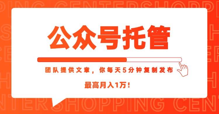 （15109期）【公众号托管 】我提供文章，你每天５分钟复制发布，最高月入1W-耐玩网创