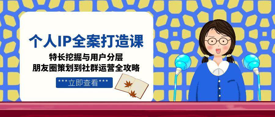 个人IP全案打造课，特长挖掘与用户分层，朋友圈策划到社群运营全攻略-耐玩网创