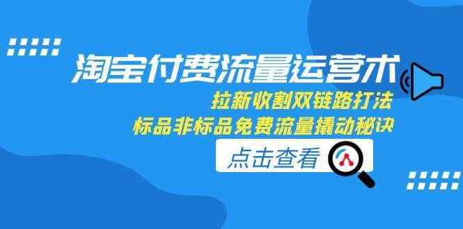 淘宝付费流量运营术，拉新收割双链路打法，标品非标品免费流量撬动秘诀-耐玩网创
