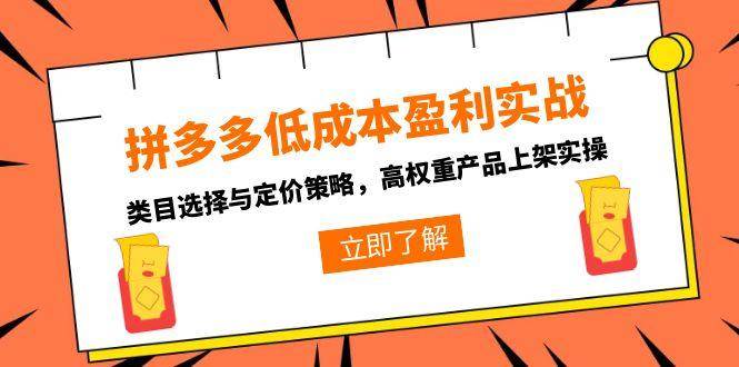 （15143期）拼多多低成本盈利实战，类目选择与定价策略，高权重产品上架实操-耐玩网创